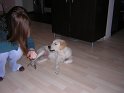 Iarna 2009 022
